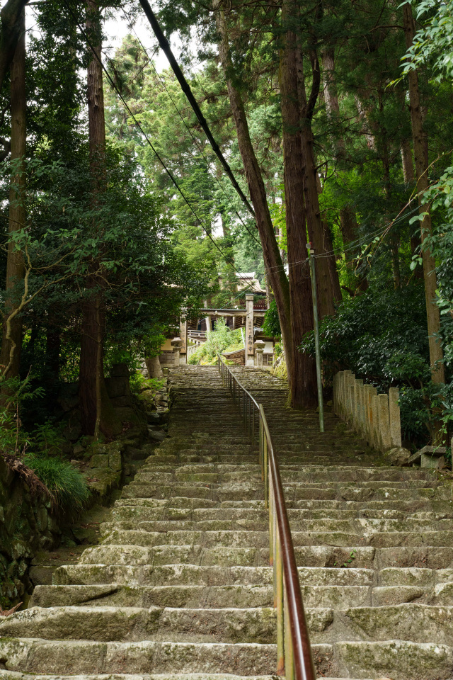 長命寺　階段