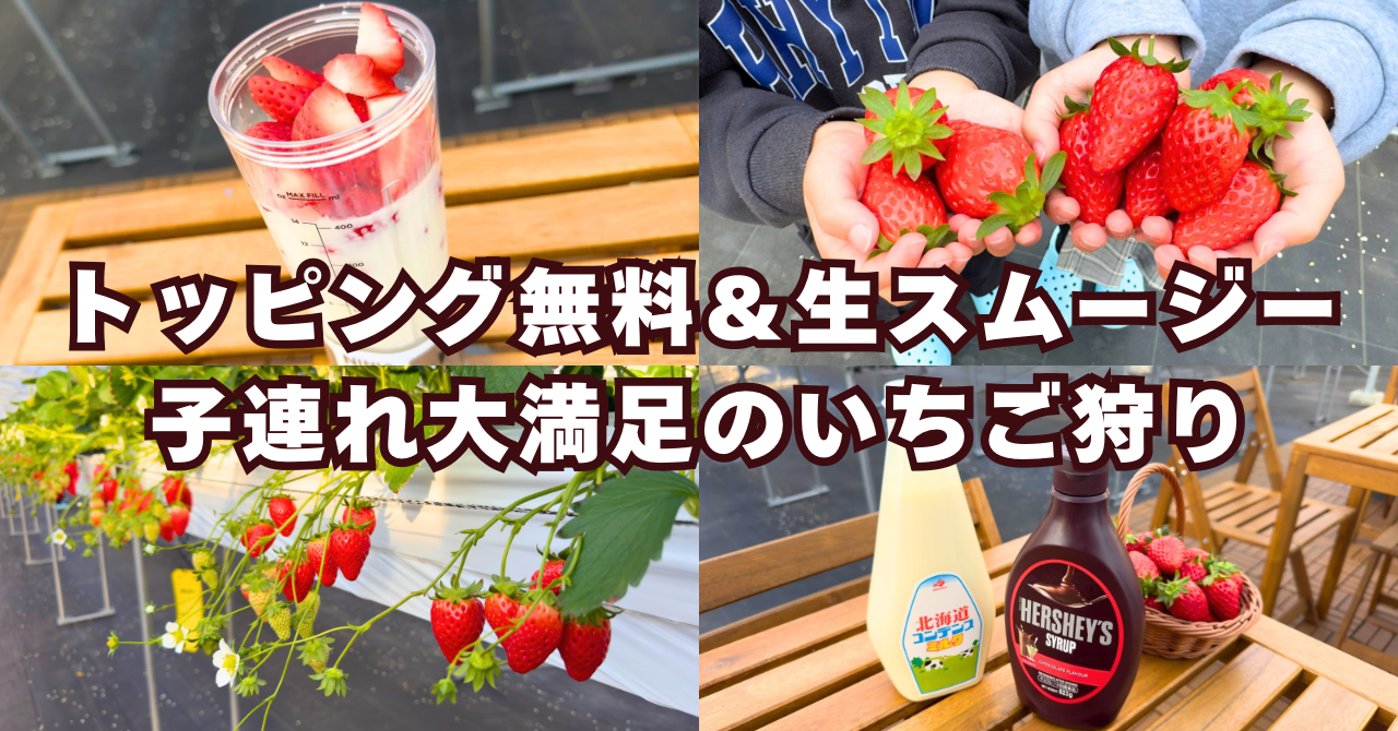 【ストロヴィレッジ】トッピング無料＆生スムージー作り！子連れに優しいいちご狩り体験