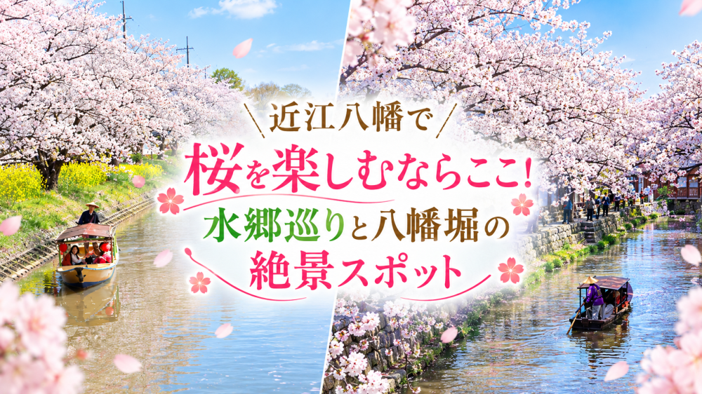 近江八幡で桜を楽しむならここ！水郷巡りと八幡堀の絶景スポット