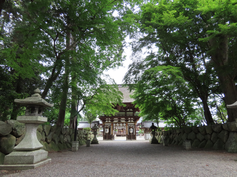 なんじゃもんじゃが有名！全国の佐々木さんの氏神様「沙沙貴神社」