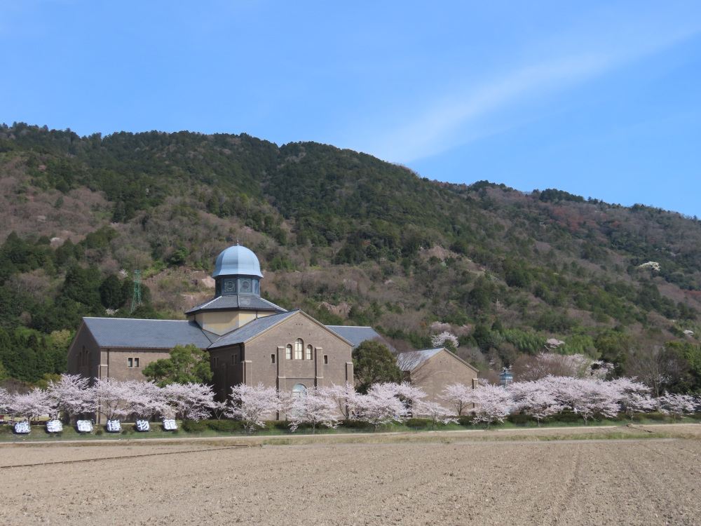 遠くから見た博物館～