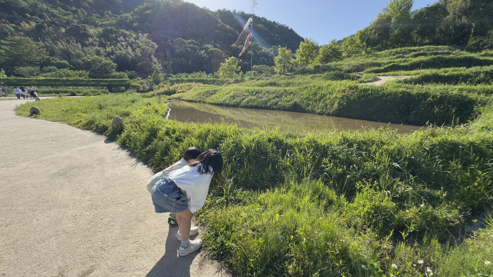 虫やカエルの声が聞こえる