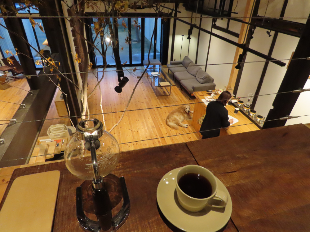 ワンちゃんが見える特等席。