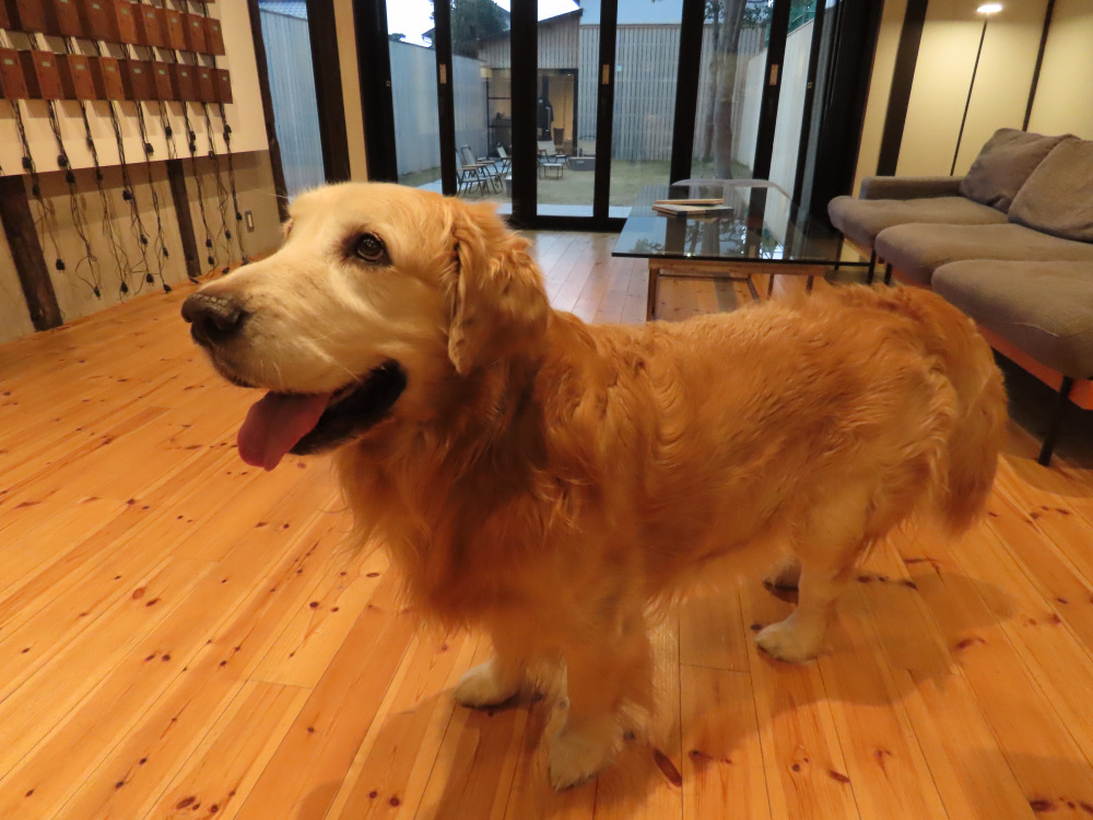 水の飲みっぷりが男前なサスケ君