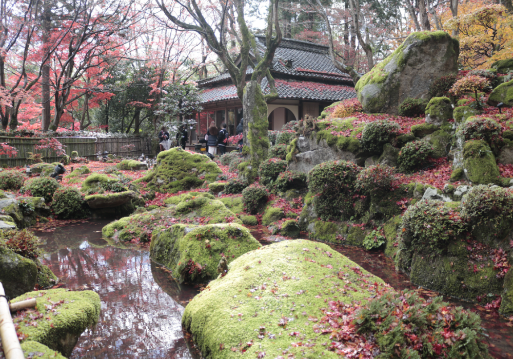 苔むす岩がとにかく美しい。