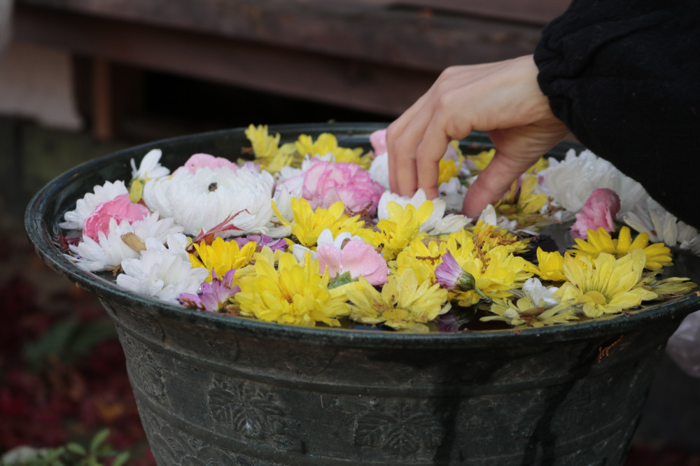 花盆がかわいらしいです