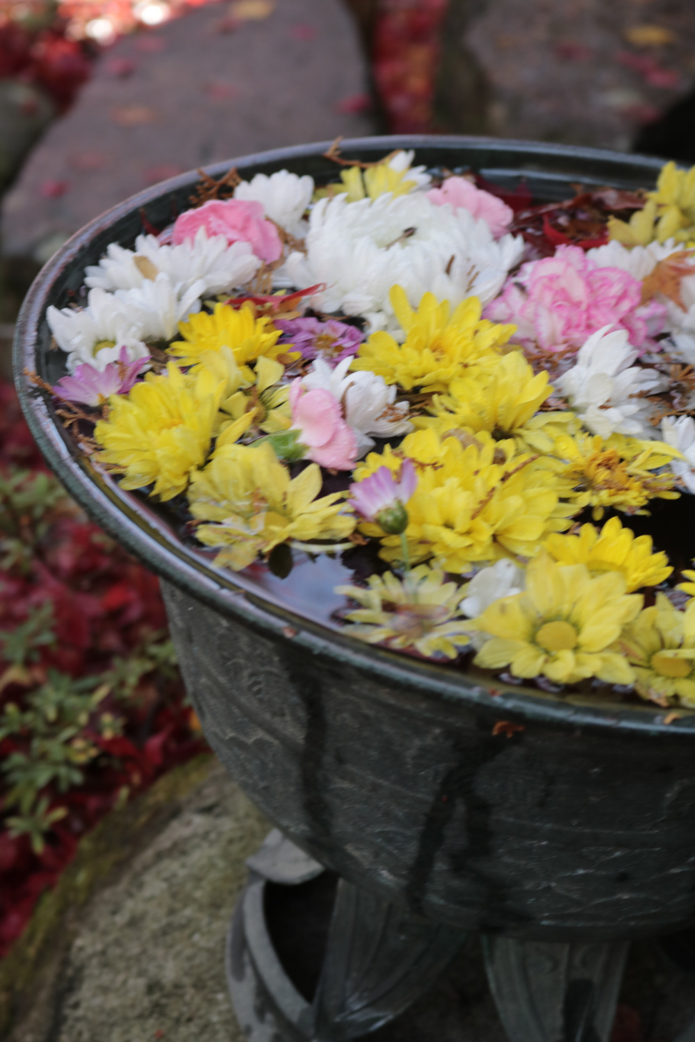 静かな空間によく似合います