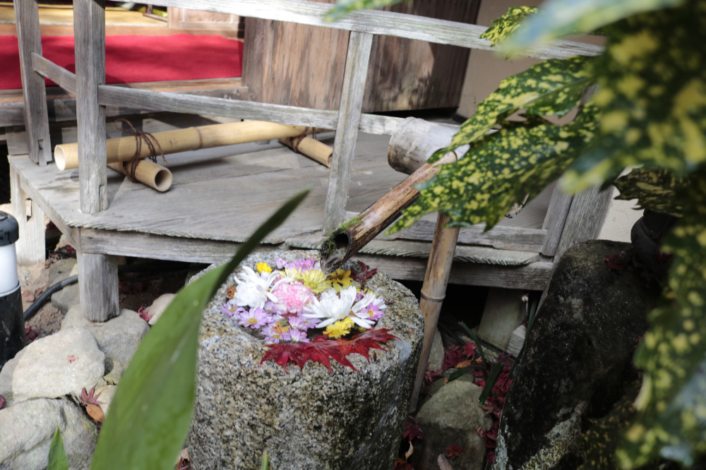 水琴窟もあるんです。