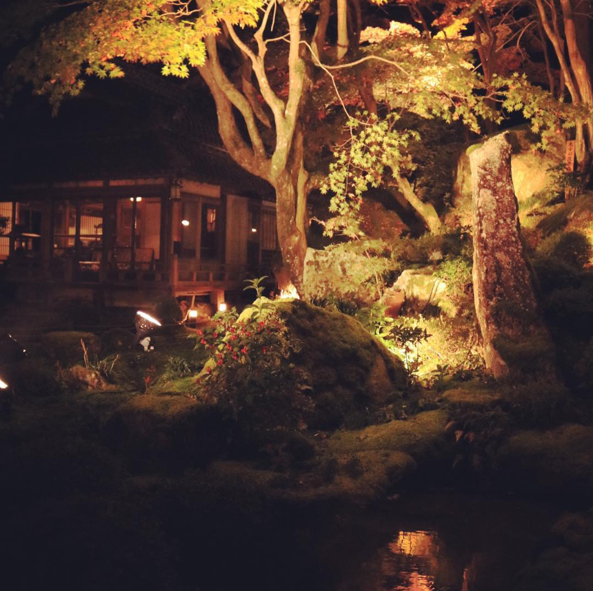 秋の夜、静けさの中で浮かび上がる紅葉が圧巻です。