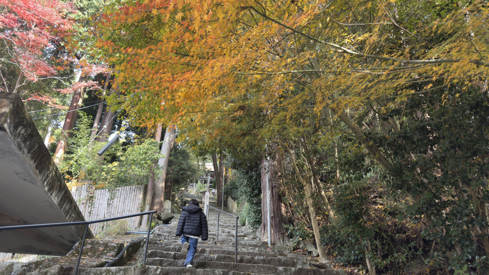 紅葉を見ながら登る階段はあっという間
