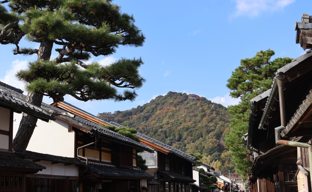 新町通りから見る八幡山