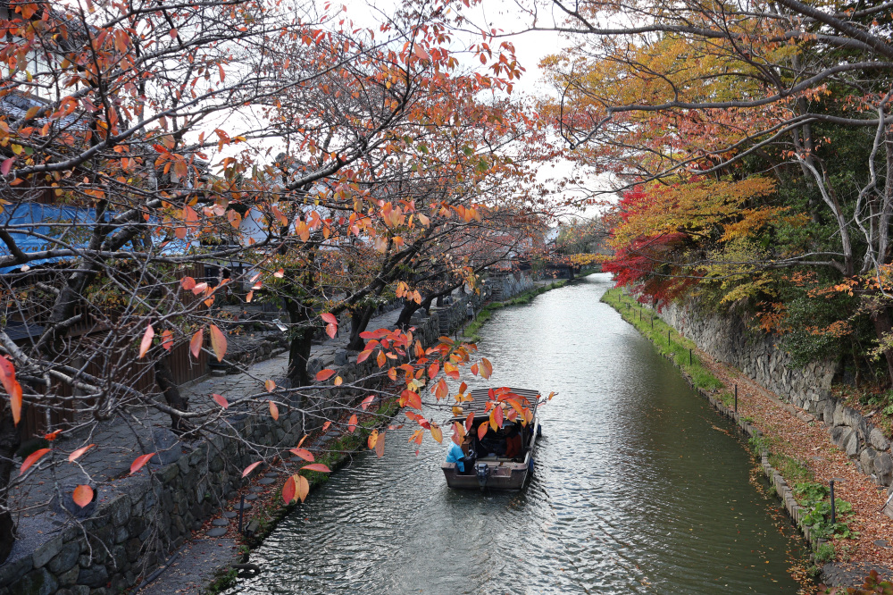 八幡堀の紅葉