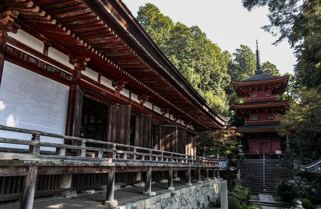 ※画像引用：Instagram（@t.iwasawa1968）より