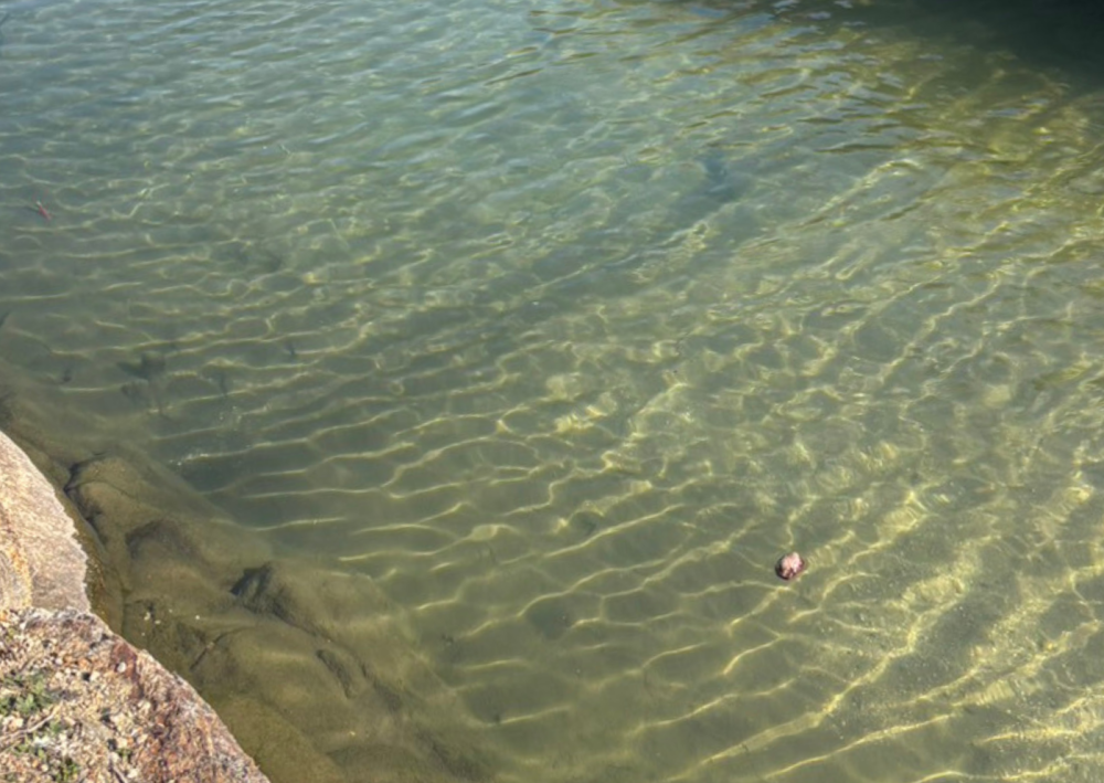 とにかく美しい水面が続きます。