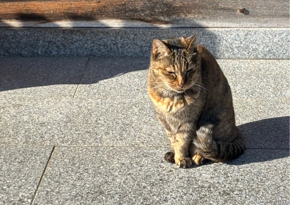 穏やかでやさしい時間が流れる安土。