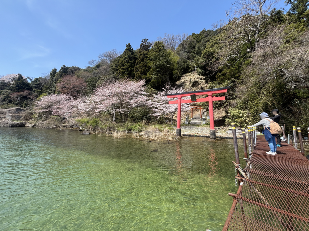 桟橋からみる景色は絶景!