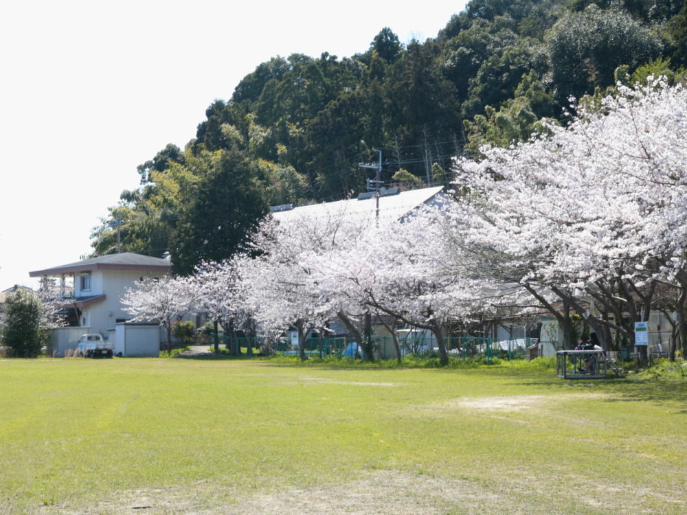 そよそよと心地いい風