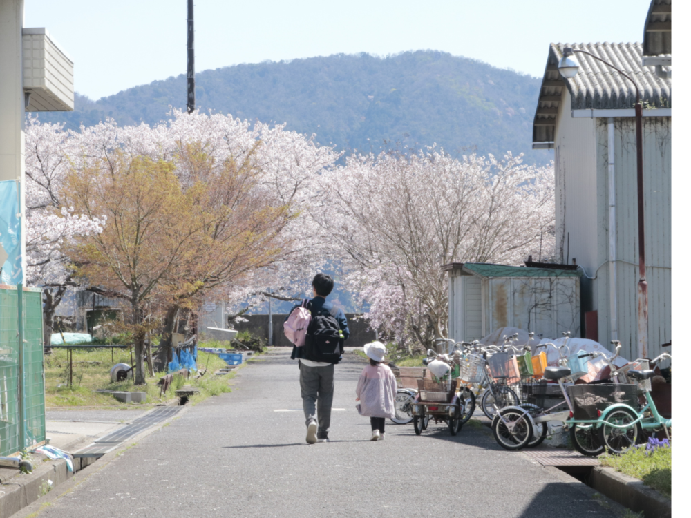 こんなに満開の桜の中で、お散歩って素敵ですね