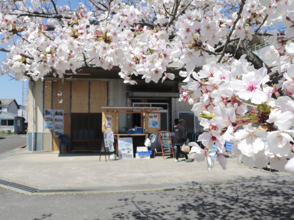 臨時のお店はこちら