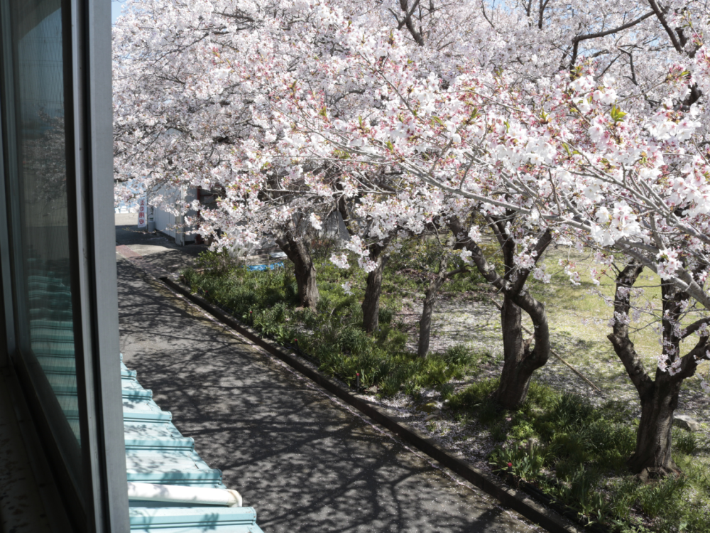 2階からの景色も絶景です