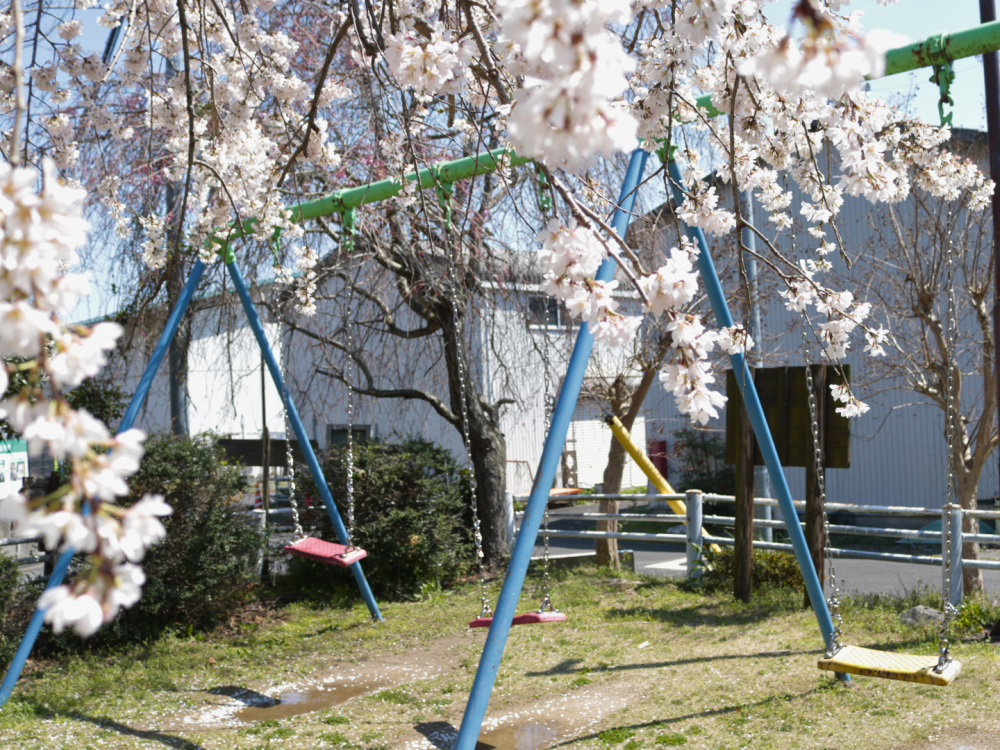 島の子どもたちも遊ぶ公園