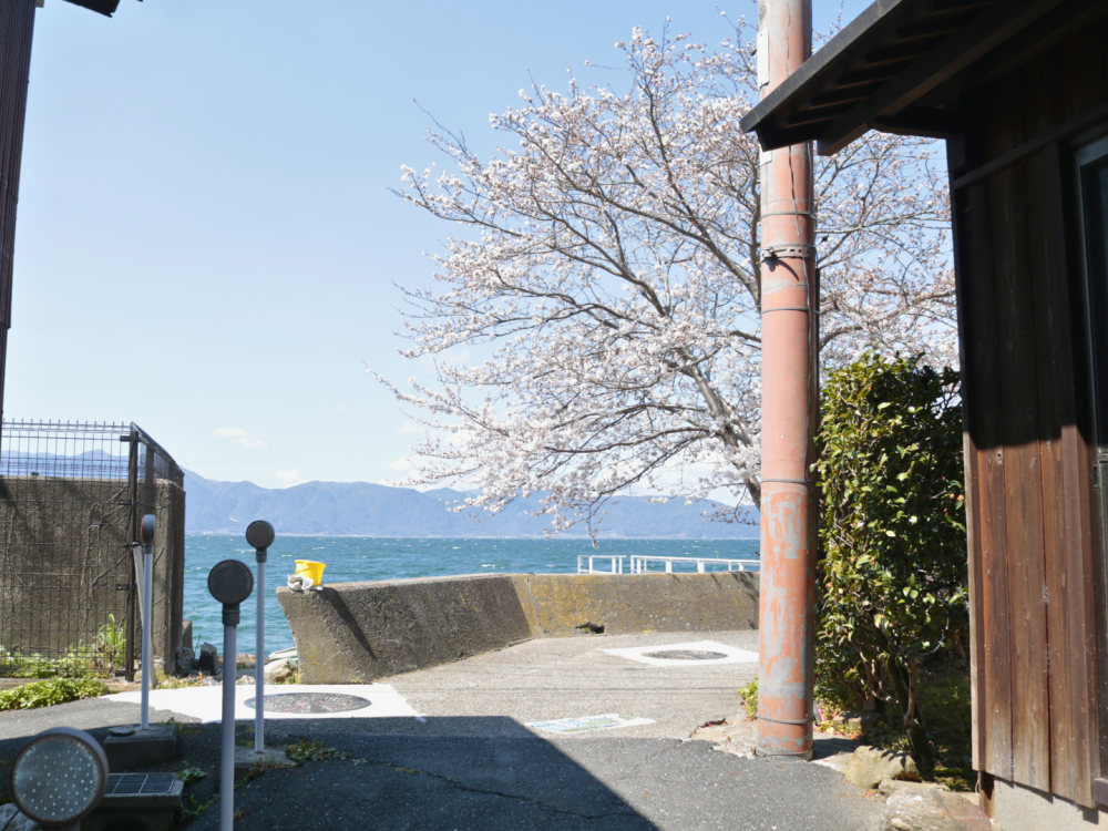琵琶湖が見えてきました!