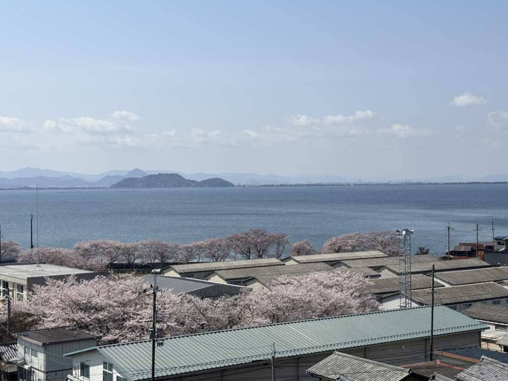 けんけん山、登山口から見える桜