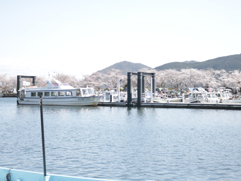 満開の桜と船