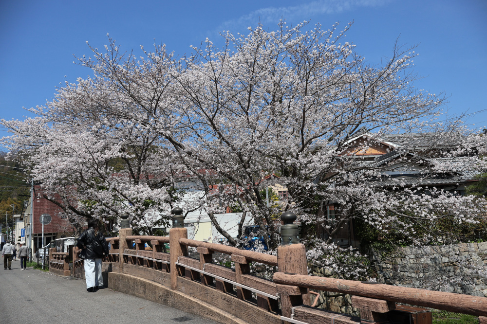 明治橋の上から撮影