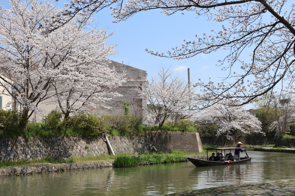 明治橋～本町橋の遊歩道から撮影