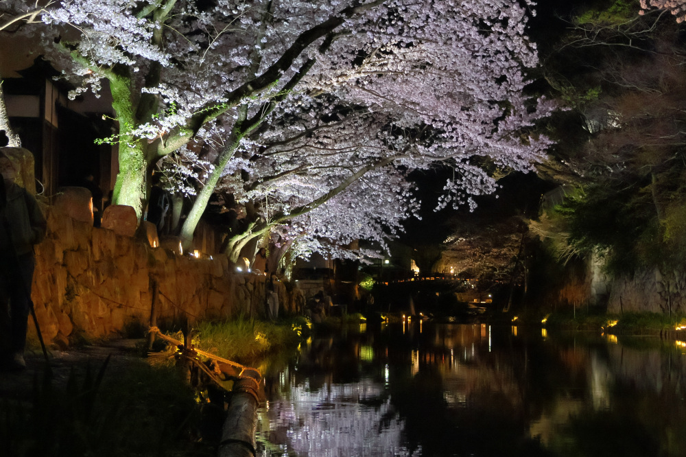 白雲橋の下から撮影
