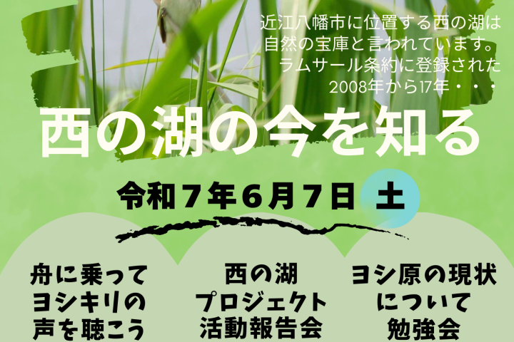 ６月7日（土）開催！西の湖の今を知る