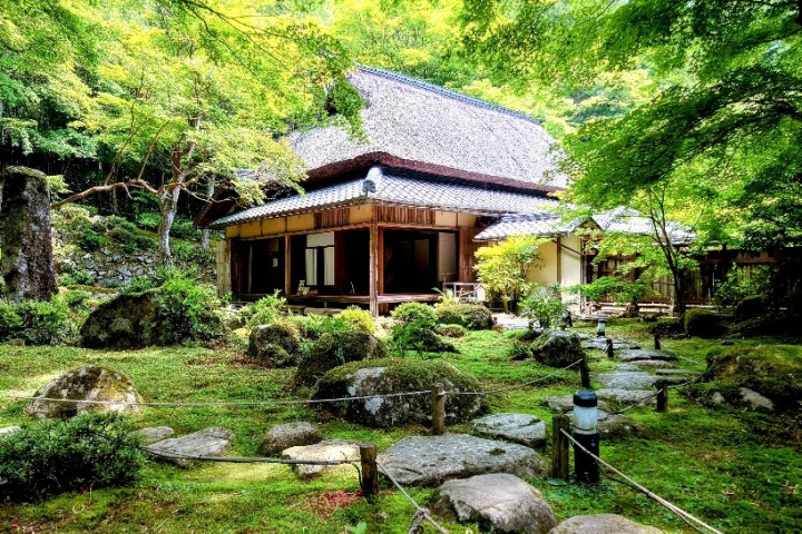 【４月25日～６月末】教林坊～春の公開情報～