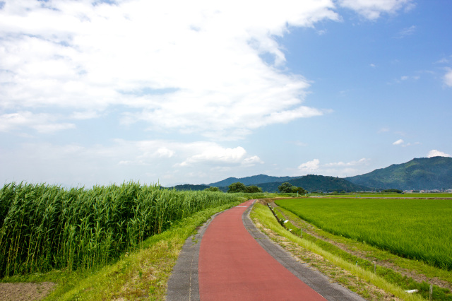 びわ湖よし笛ロード